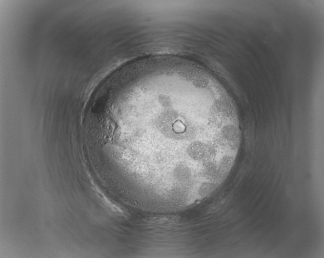 X0000077990721200611101727