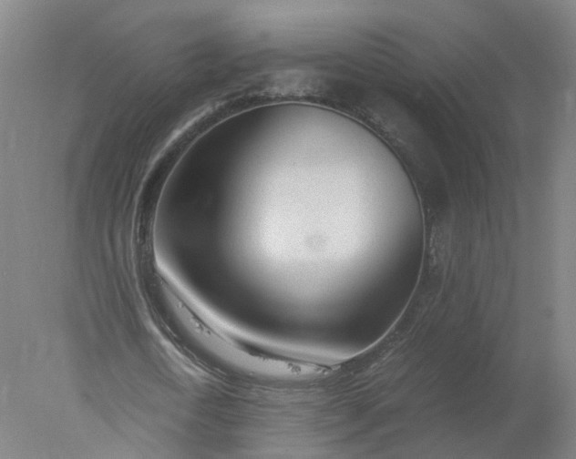 X0000077990722200611101727