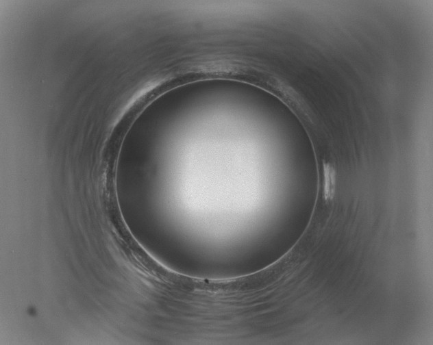 X0000077990723200611101727