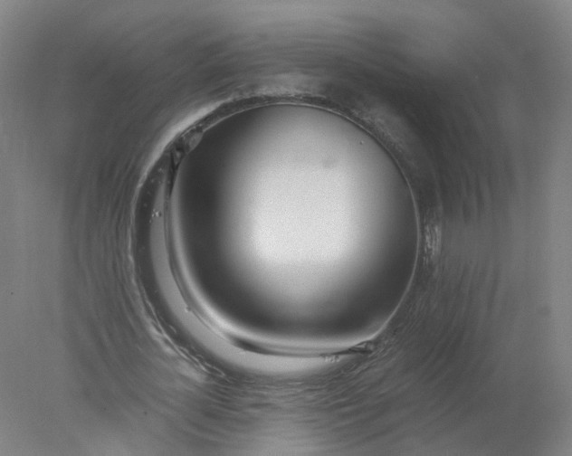 X0000077990724200611101727