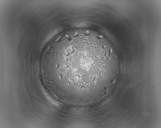 X0000077990725200611101727