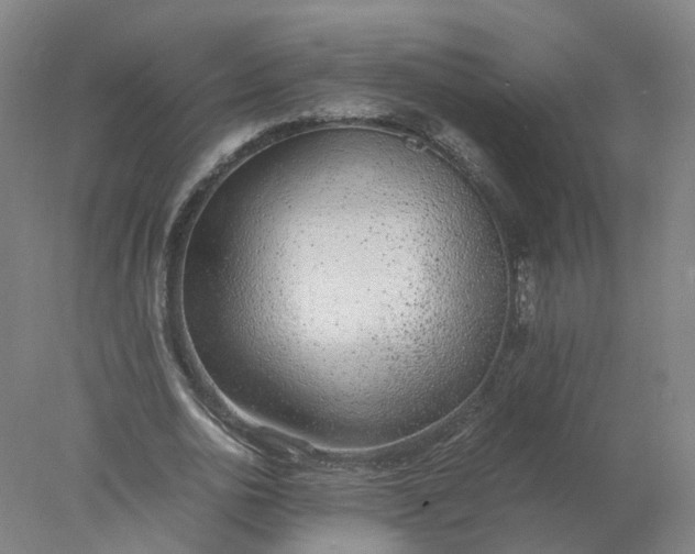 X0000077990726200611101727