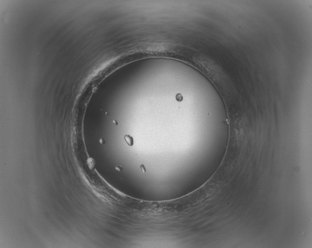 X0000077990728200611101727