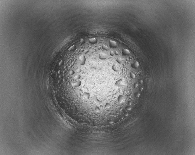 X0000077990729200611101727