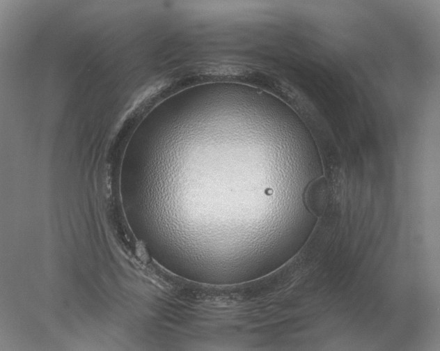 X0000077990731200611101727