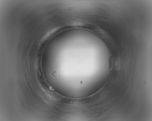 X0000077990732200611101727