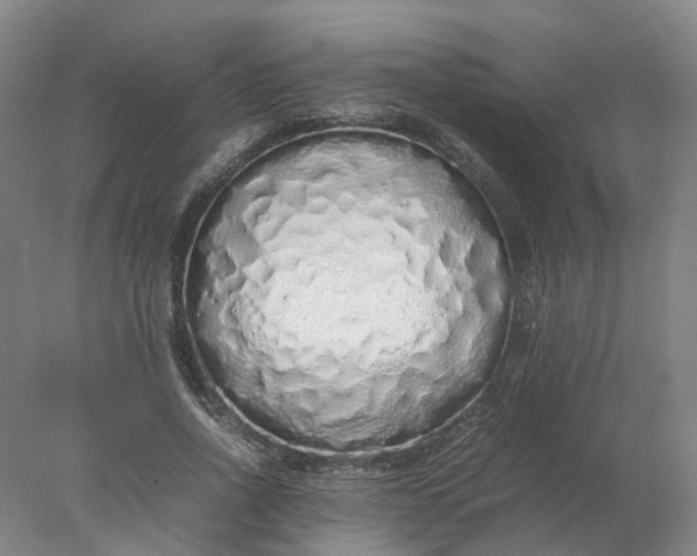 X0000077990734200611101727