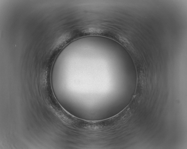 X0000077990735200611101727