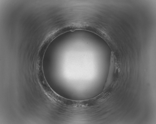 X0000077990736200611101728