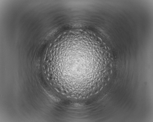 X0000077990737200611101728