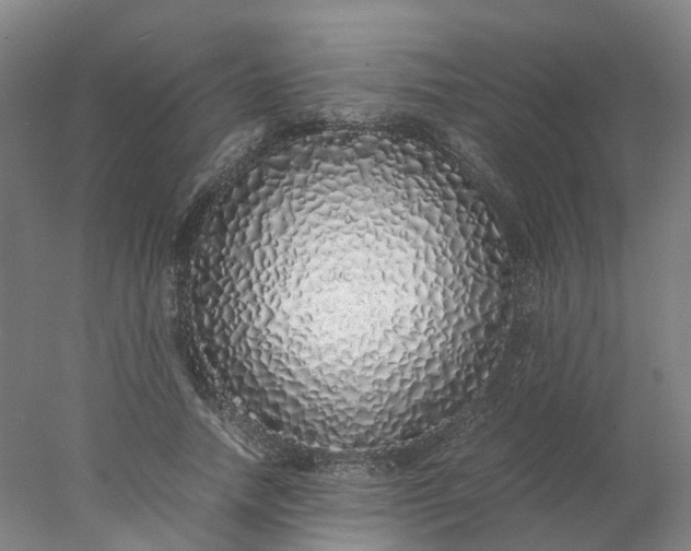 X0000077990738200611101728