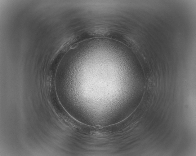 X0000077990739200611101728