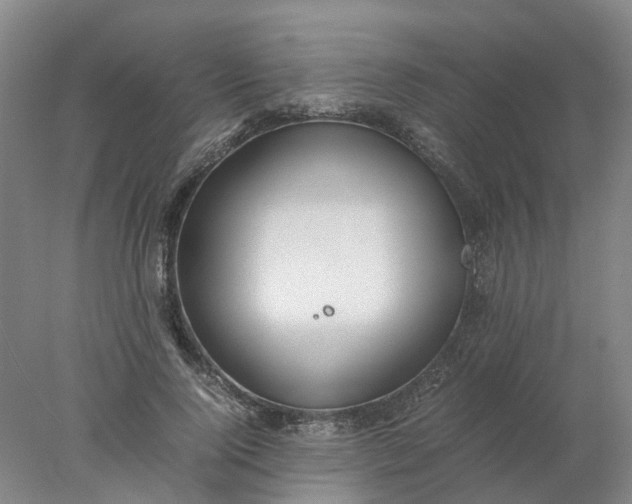 X0000077990740200611101728