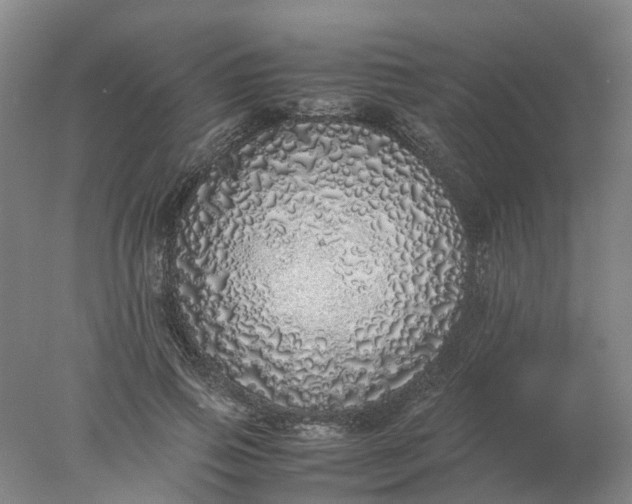 X0000077990741200611101728