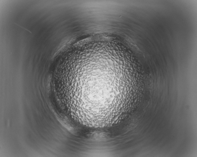 X0000077990742200611101728