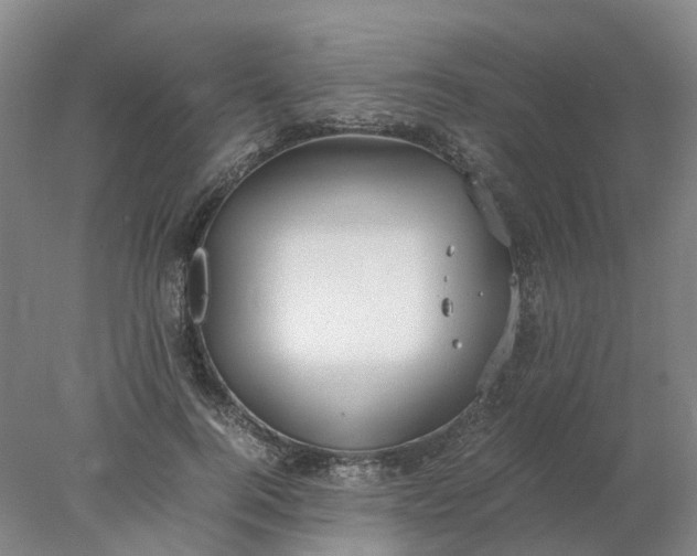 X0000077990744200611101728