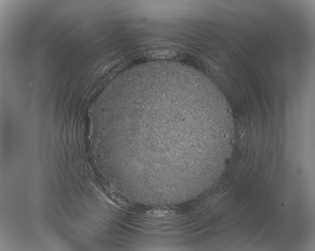 X0000077990745200611101728