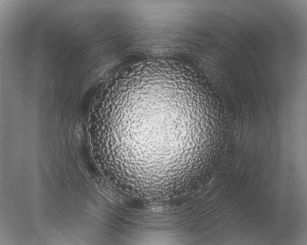 X0000077990746200611101728