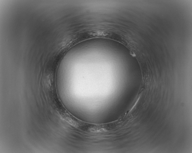 X0000077990747200611101728