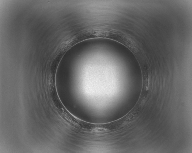 X0000077990748200611101728