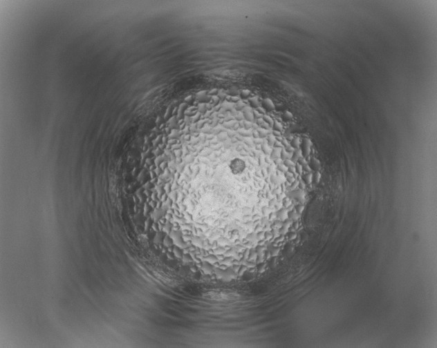 X0000077990749200611101728