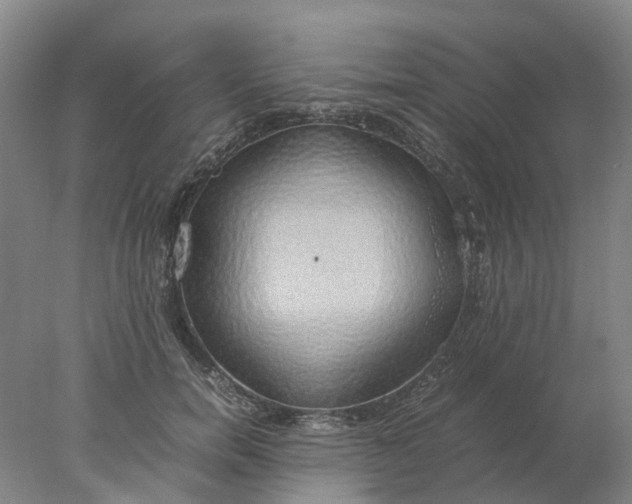 X0000077990750200611101728