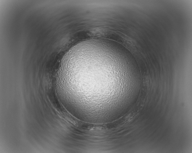 X0000077990751200611101728