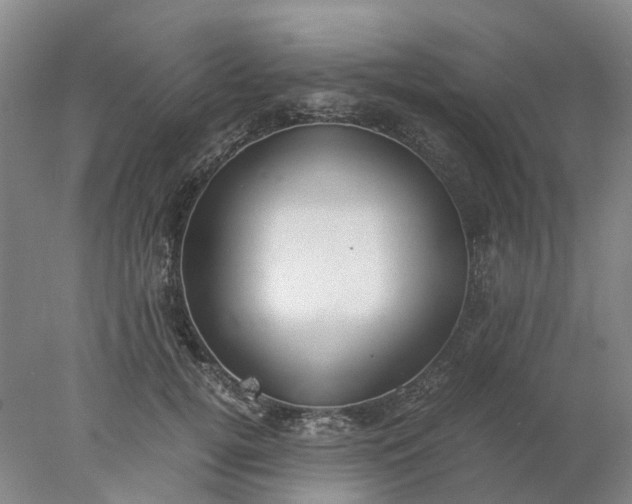 X0000077990752200611101728