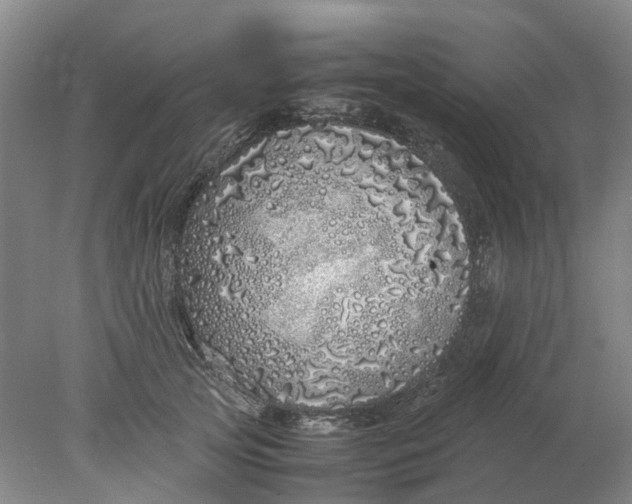 X0000077990753200611101728