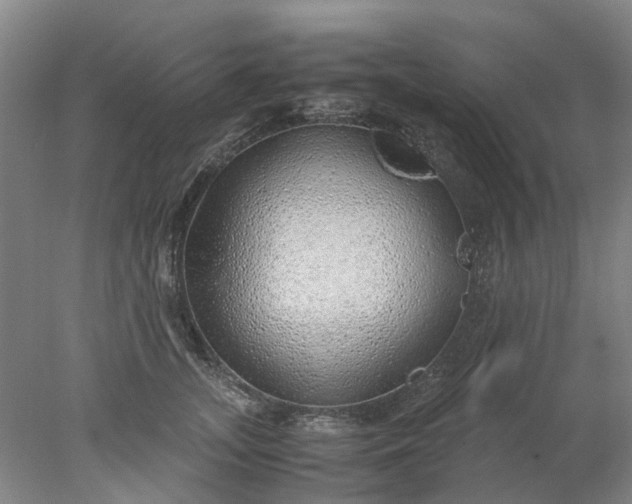 X0000077990755200611101728