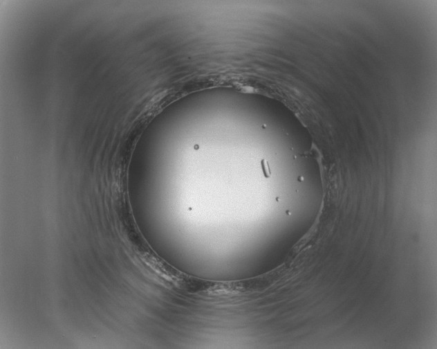 X0000077990756200611101728