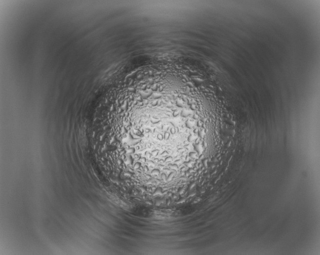 X0000077990757200611101728