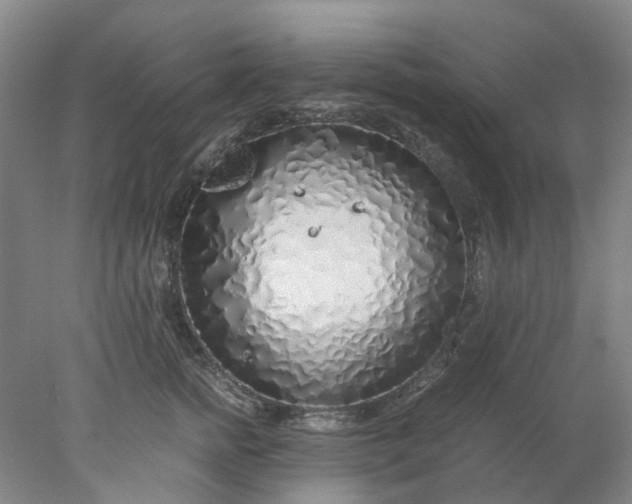 X0000077990758200611101728