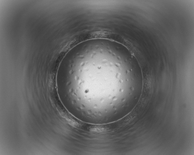 X0000077990759200611101728