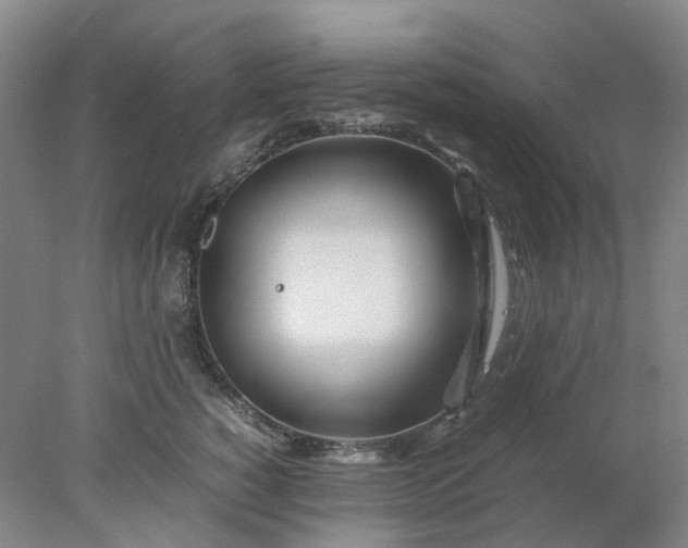 X0000077990760200611101728