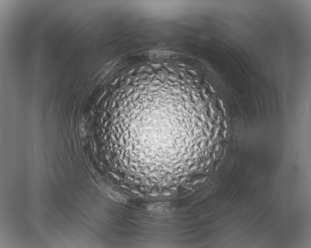 X0000077990761200611101728