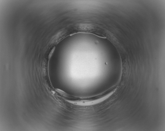 X0000077990762200611101728