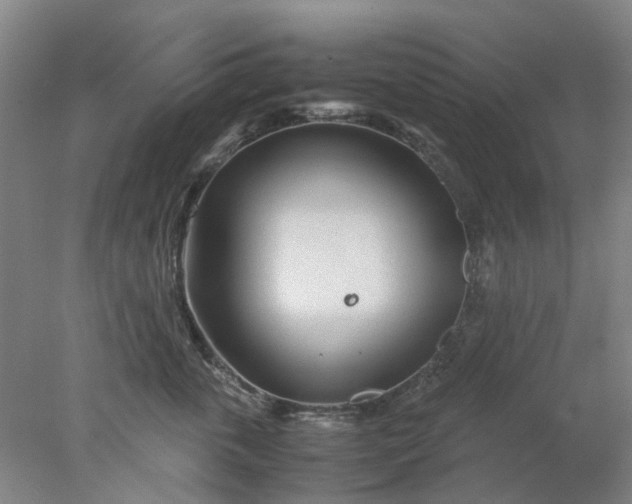 X0000077990763200611101728