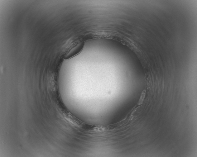 X0000077990764200611101728