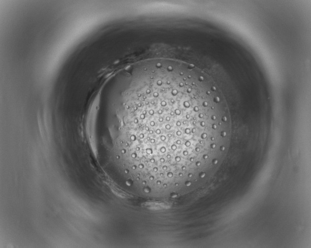 X0000077990765200611101728