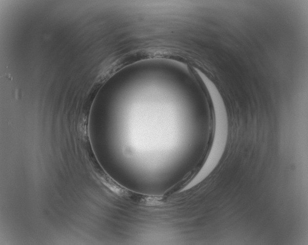 X0000077990766200611101728