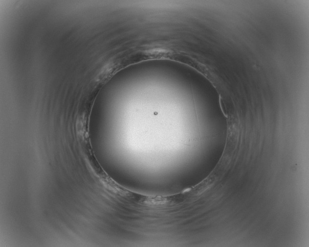 X0000077990767200611101728