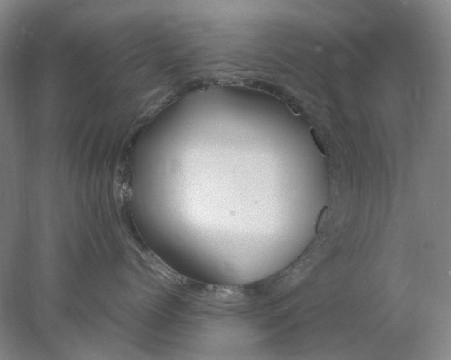 X0000077990768200611101728