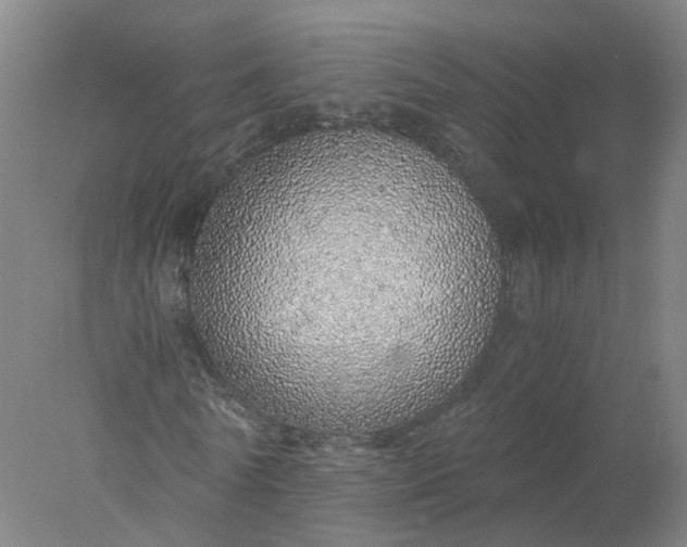 X0000077990770200611101727