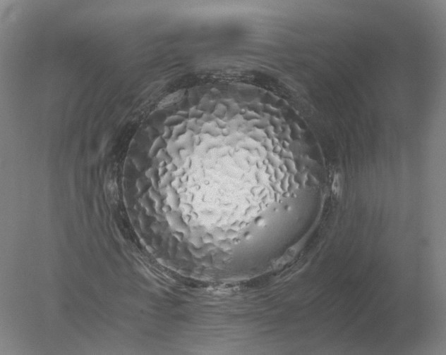 X0000077990771200611101727