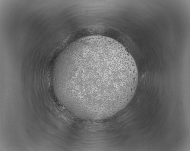 X0000077990772200611101727