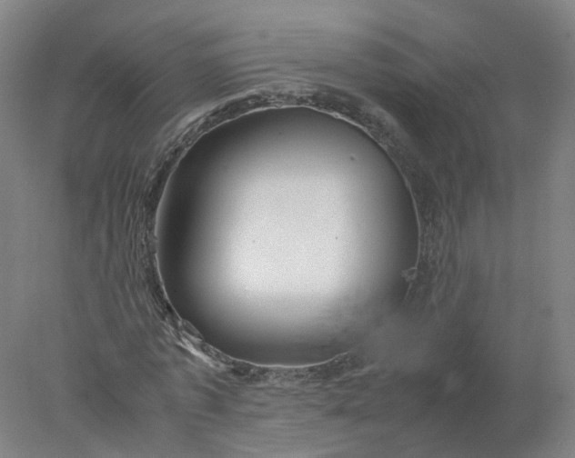 X0000077990773200611101727