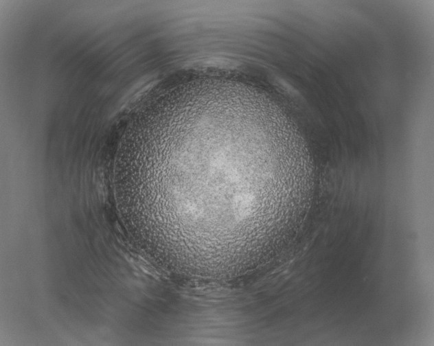 X0000077990774200611101727