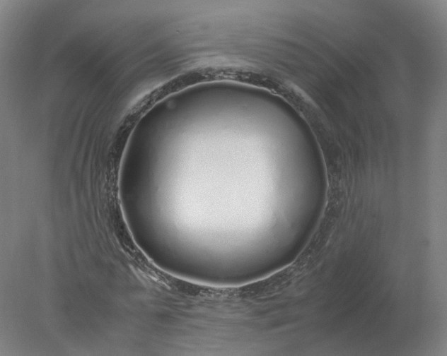 X0000077990775200611101727