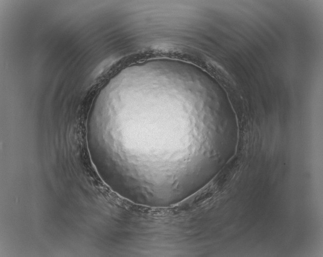 X0000077990776200611101727